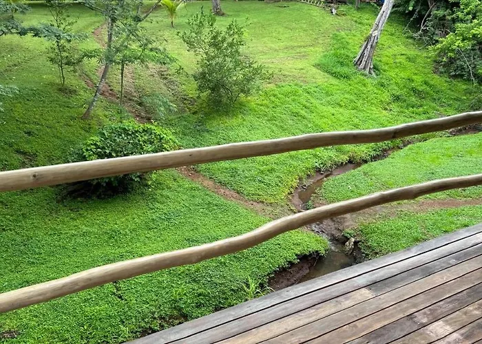 Casa Iguana - Walk